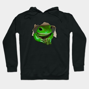 Funny Tree Frog Hoodie